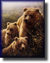 Click Image to Read Card